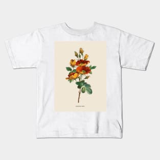 Austrian Rose Antique Botanical Illustration Kids T-Shirt